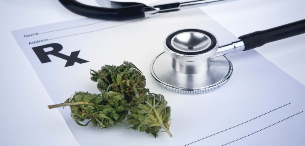 cursos formacion cannabis medicinal
