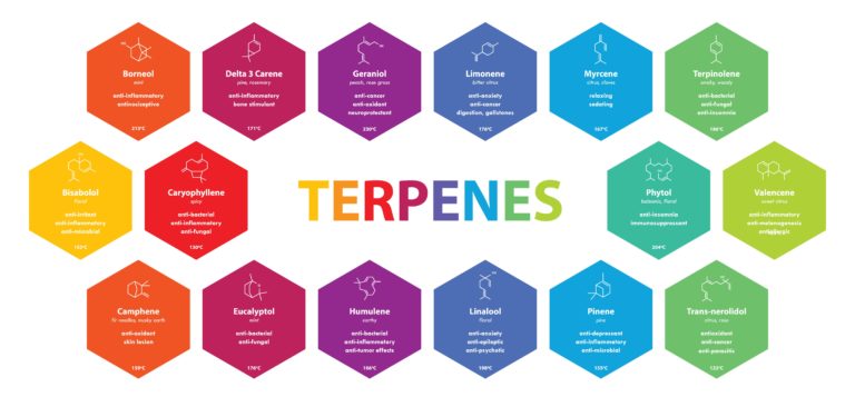Terpenos