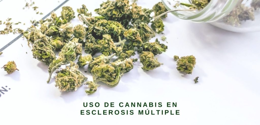 uso de cannabis en esclerosis multiple