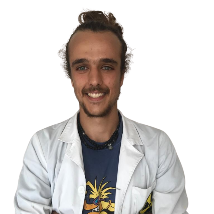 Jesus Sanchez Nicolas